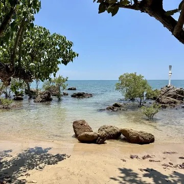 A quiet beach with rocks and trees at the water's edge